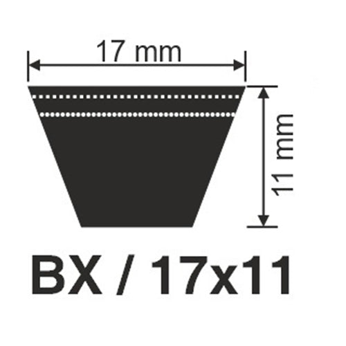 BX122 X'tra Cogged Raw Edge V-Belt