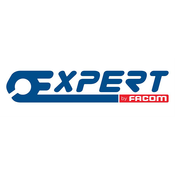 Expert